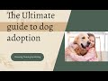 The Ultimate Guide To Dog Adoption Dogadoption Dogrescue Perrosgraciosos Savedogs Howto