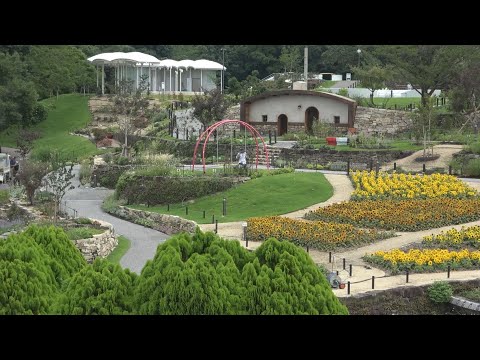 四季楽しめるお花畑　東山動植物園