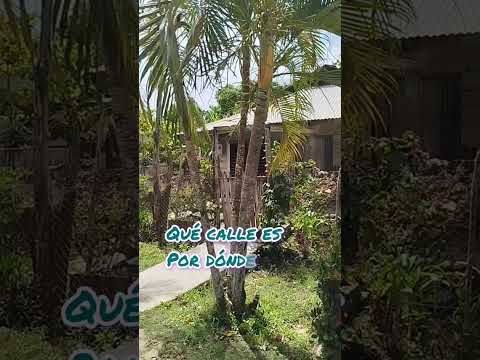 #camaguey #cubanosporelmundo #cubanostalgia #cronicasdemiisla #