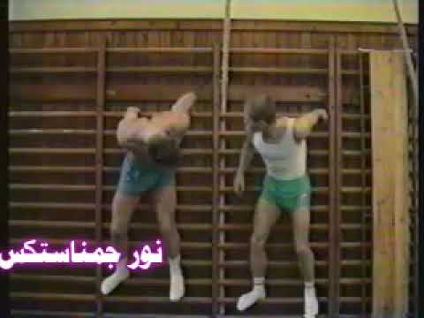 Physical preparation in pommel horse.