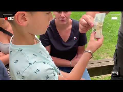 Saturn Magic - NO PRINT by Mickael Chatelain - Trick