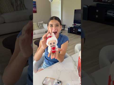 Getting My Sister a Special Edition Labubu