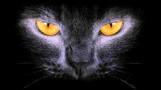 Deep House Music - Deep Diamonds (80 Minutes Mix - DJ DeeKaa)