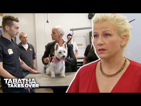 Tabatha Takes Over | Season 4 Episode 9 | Reality TV Full Episodes