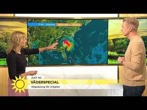 Så ser årets högsäsong för orkaner ut - Nyhetsmorgon (TV4)