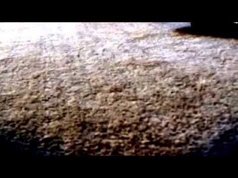 Lego high speed passenger train 60051 reviewed!