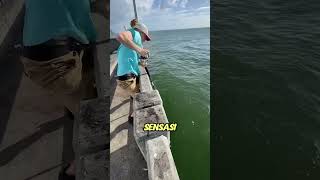 Download lagu Kenapa Pemancing Melepaskan Ikan Setelah Menangkapnya! mp3