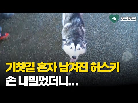 아이콘