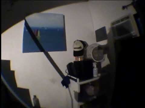 sony dcr 101 fish eye .2x 37mm test