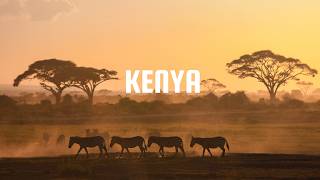 “This Is Africa at Its Best 🇰🇪 | Kenya Travel Guide”