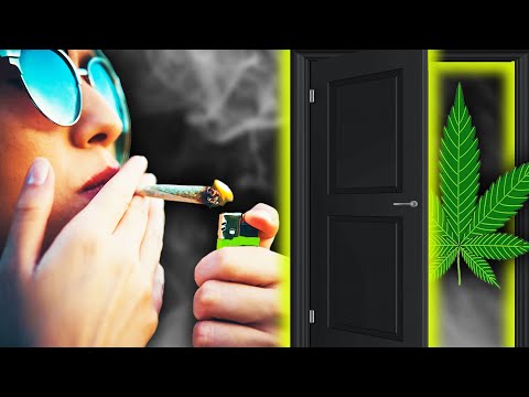 THIS Is Why Marijuana is a Gateway Drug!