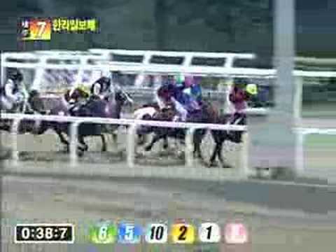 2008 Hallailbo Cup (Korean Pony Stakes Race)