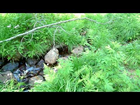 Åkerby Nature Reserve