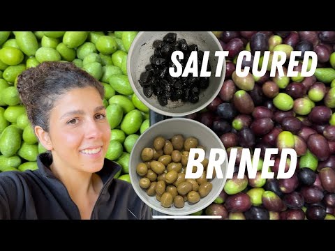 What I learnt from the experts - Olive Curing Workshop at Mount Zero Olives