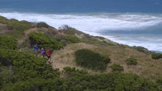preview picture of video 'Great Ocean Walk'
