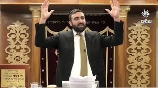 פרשת וישלח | למה צדיק ורע לו רשע וטוב לו? | הרב יעקב עשור (ארגון ענפים) - התמונה מוצגת ישירות מתוך אתר האינטרנט יוטיוב. זכויות היוצרים בתמונה שייכות ליוצרה. קישור קרדיט למקור התוכן נמצא בתוך דף הסרטון