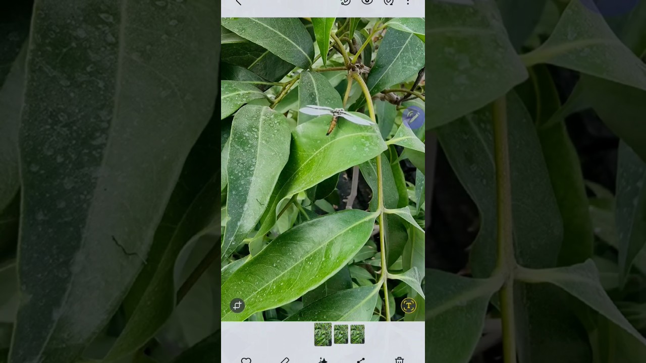 Unlocking the Power of AI: Transforming Our World Today| AI Power: Understanding Its Role in Society