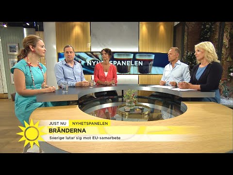 Nyhetspanelen:”Vi tar inte det klimatansvaret som vi borde göra för kommande ge - Nyhetsmorgon (TV4)