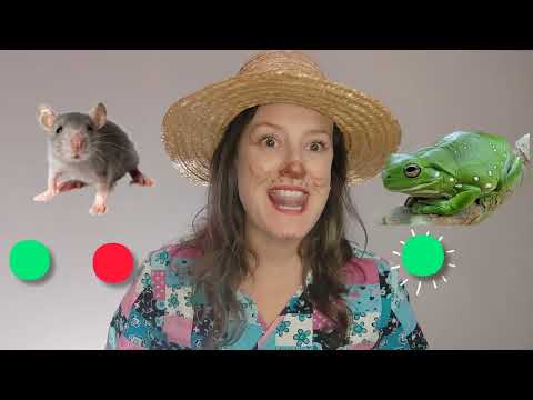 🌄🌿sílaba inicial 👩‍🌾