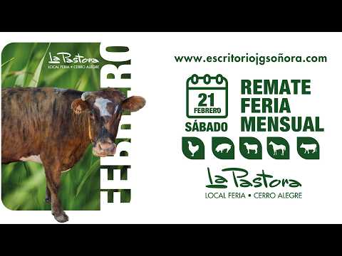 Remate Feria Mensual Febrero