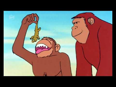 Es war einmal ... Der Mensch – #01 Eine neue Welt entsteht