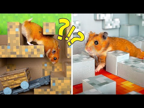 Niesamowity labirynt w stylu Minecrafta dla aktywnych chomików! 🐹❤️