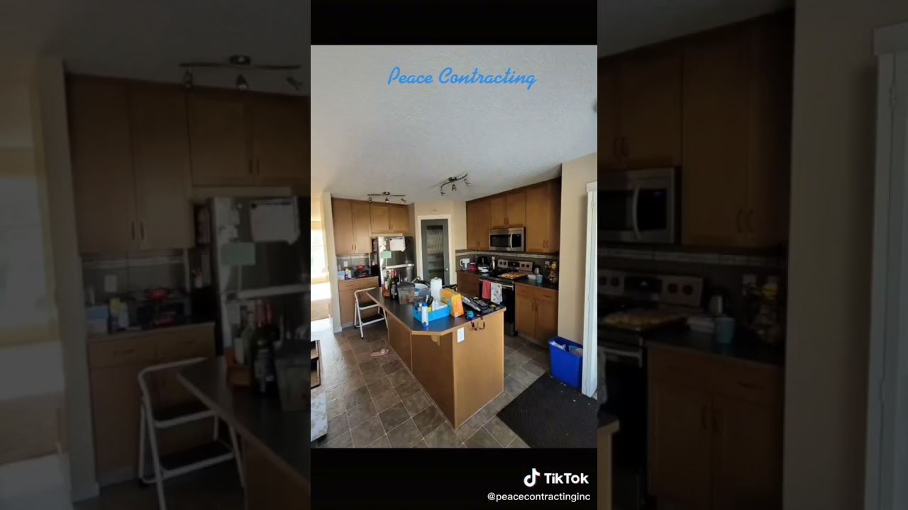 Video 1
