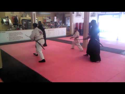 A.k system bujutsu do - katana drills