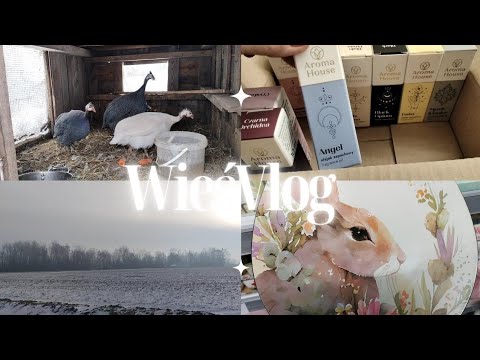 COUNTRY LIFE, WINTER WINTER.