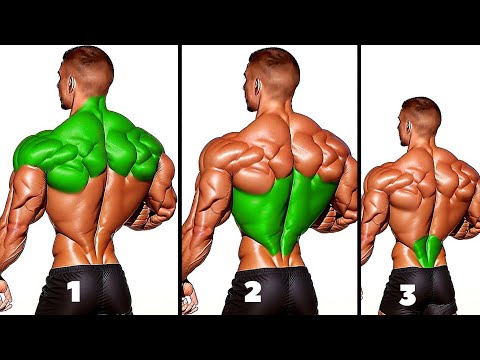 Top 4 Fastest Workout for Upper Middle ( Lats ) and Lower Back
