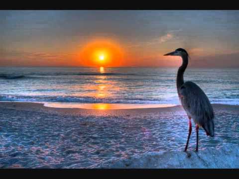 download lagu mp3 mp4 Tranquility Silence Follows Rain, download mp3 Tranquility Silence Follows Rain free download, download mp3 Tranquility Silence Follows Rain