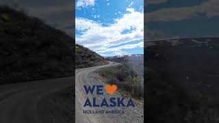 Holland America Alaska Tour: Grizzly Surprise
