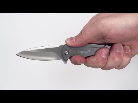 Kershaw 1810 - Intellect