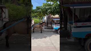 #インドネシア #一人旅 #女一人旅 #幸せ #旅行