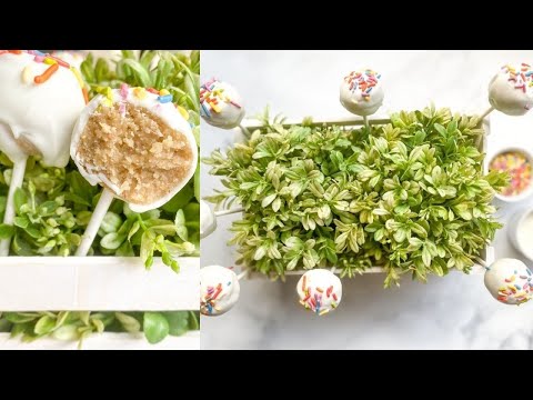 Gluten-Free Cake Pop Recipe (No-Bake!)