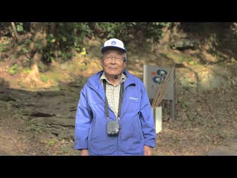 Karematsu Shrine - Where Prayer and History Remain - 枯松神社