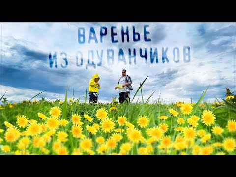 Сделали с дочкой Варенье из Одуванчиков - бюджетный рецепт