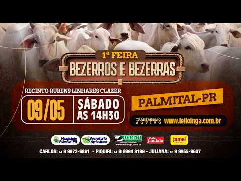 1ª FEIRA BEZERROS E BEZERRAS - PALMITAL/PR.