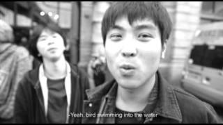 Trailer : Birdstriking 2014 U.K. Tour Documentary