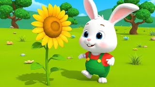 Download lagu Learn Flowers with Mikku Bunny 🌸🌻🌹 | Fun Learning for Kids & Toddlers | Educational Cartoon mp3 Download lagu Learn Flowers with Mikku Bunny 🌸🌻🌹 | Fun Learning for Kids & Toddlers | Educational Cartoon mp3