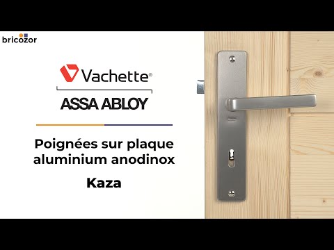 Poignées sur plaques -entraxe 195mm -aluminium finition anodinox -Kaza VACHETTE