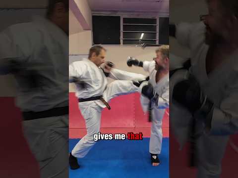 Ashiahara Stopping Mae Geri #karate