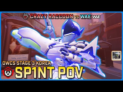 [ Sp1nt ] The new BEST Flex DPS?! | Crazy Raccoon vs WAE | OWCS Korea Stage 3