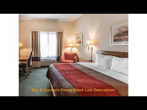 Review Comfort Inn & Suites Hotel | United States