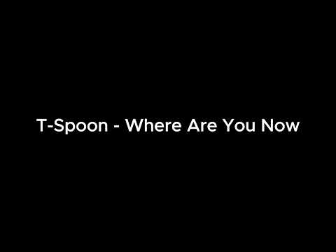 T-Spoon - Where Are You Now (Radio Mix)