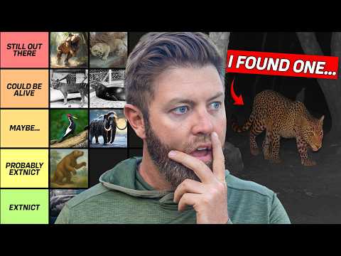26 Extinct Animals I Believe Could Still Be Alive