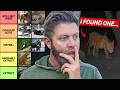 26 Extinct Animals I Believe Could Still Be Alive