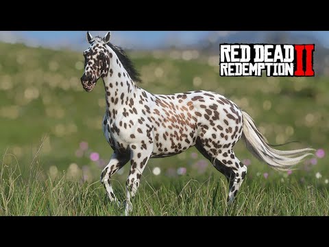 Taming the Dalmatian Appaloosa of the Forest - The Horse Tamer - 61