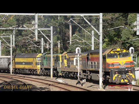 A huge variety of SSR locomotives working through Beecroft & Cowan - June 2020