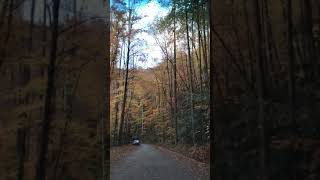 Melissa Manchester- “They Say It’s Wonderful” - mixed with sounds and beauty of nature